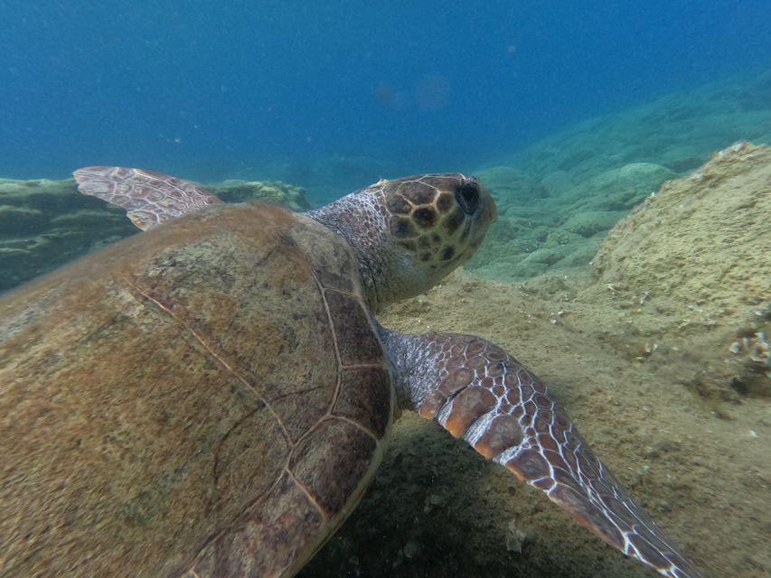 Heraklion: Beginner-Friendly Snorkeling Trip - Equipment, photos, and what you’re paying for at $53
