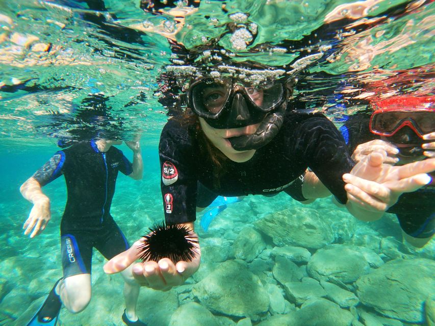 Heraklion: Beginner-Friendly Snorkeling Trip - What to bring (and what to skip) so the day feels easy