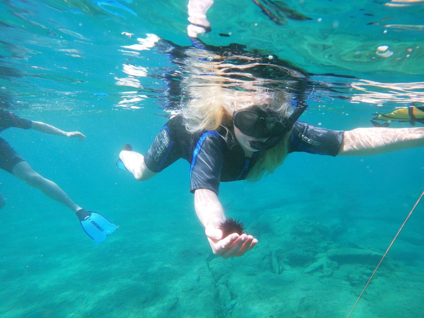 Heraklion: Beginner-Friendly Snorkeling Trip - Who this snorkeling course is best for
