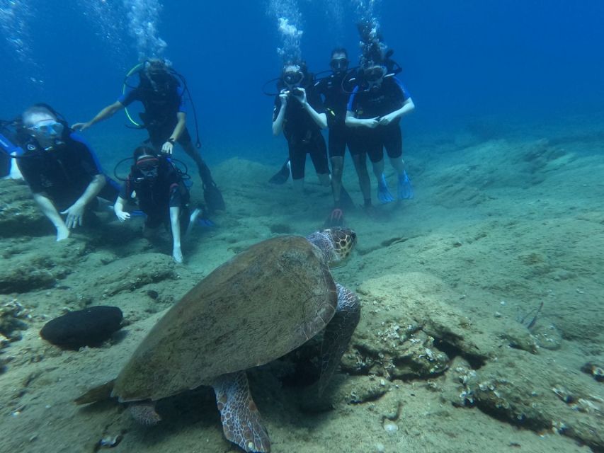Heraklion: Beginner's intro dive w/2 Dives with transfer. - First Underwater Training in Agia Pelagia (From Heraklion Area)