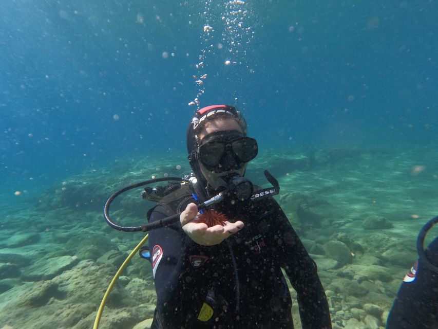 Heraklion: Beginner's intro dive w/2 Dives with transfer. - SSI Digital Diploma: Getting Certified Without Paperwork Headaches