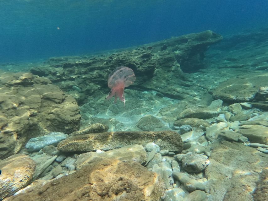 Heraklion: Beginner's intro dive w/2 Dives with transfer. - What’s Missing: Photos/Videos and Food