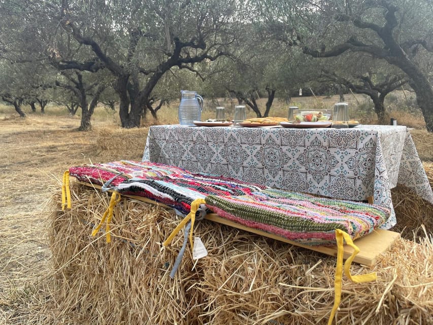 Heraklion: Cretan Farmers Brunch and Olive Grove Tour - Key moments that make this tour worth your time