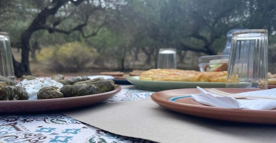 Heraklion: Cretan Farmers Brunch and Olive Grove Tour - Dragon Fruit Farm: A Rare Flavor in Cretan Hands