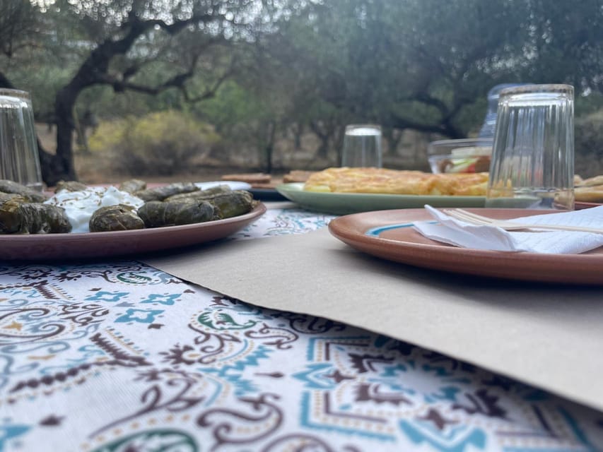 Heraklion: Cretan Farmers Brunch and Olive Grove Tour - Dragon Fruit Plus Brunch: The Order That Makes Sense