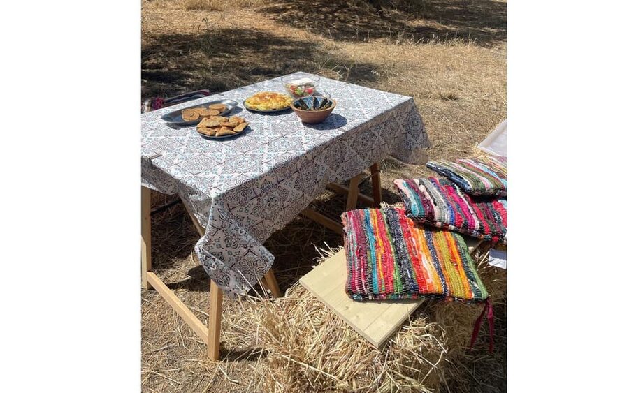 Heraklion: Cretan Farmers Brunch and Olive Grove Tour - Olive Grove Tour: How Olives Become Olive Oil