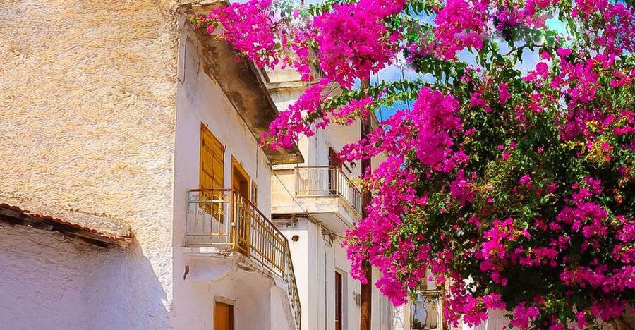 Heraklion: Eastern Crete Highlights Shore Private Tour - Tips to make the day run smoother