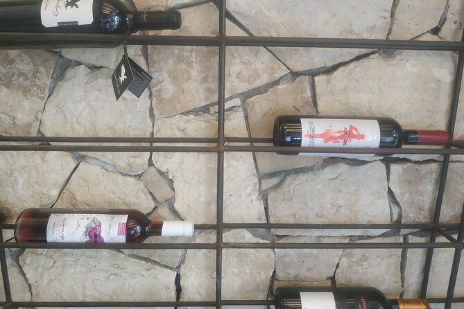 Heraklion Ecobike Tour & Cretan Wine Tasting Experience - Pacing, comfort, and who this is for