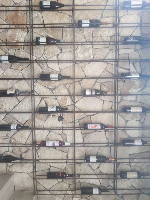 Heraklion: Ecobike Tour with Wine Tasting - Central Market roll-through: where you get briefed and set up your pace