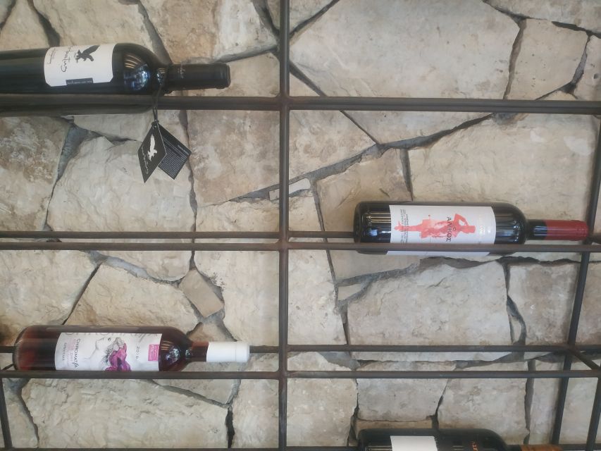 Heraklion: Ecobike Tour with Wine Tasting - Meeting at ecobikegreece and getting comfortable on the bikes