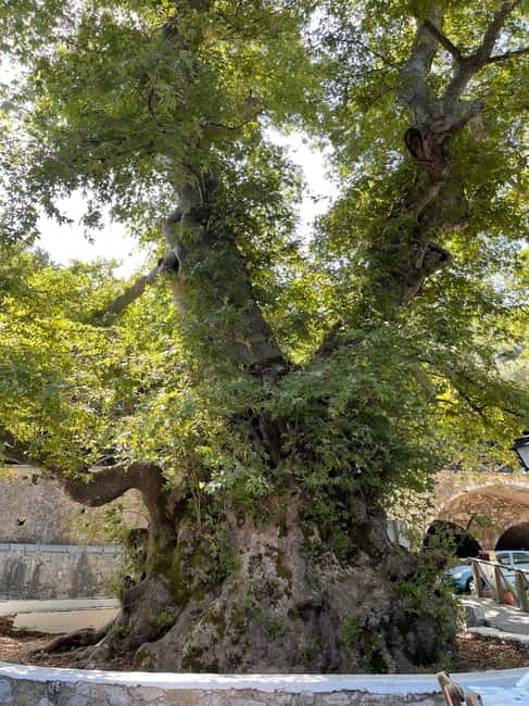 Heraklion: Knossos, Zeus, Villages & Olive Oil Factory Tour - Lunch at a family restaurant: Cretan food and local house wine options