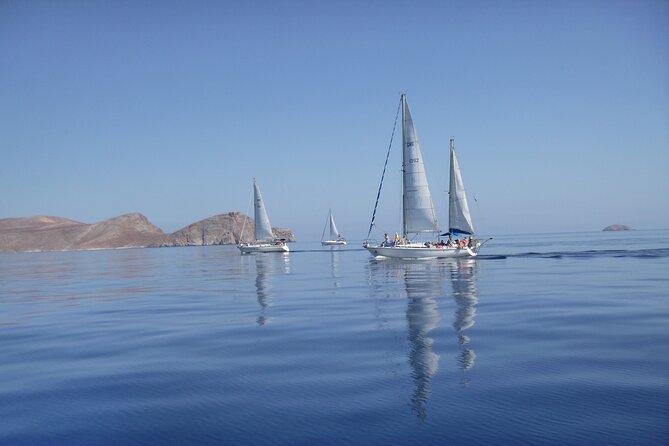 Heraklion: Nature Reserve Full day sailing to Dia Island & Lunch - Stop 2: Panagia Cove and That Green-Clear Water Moment