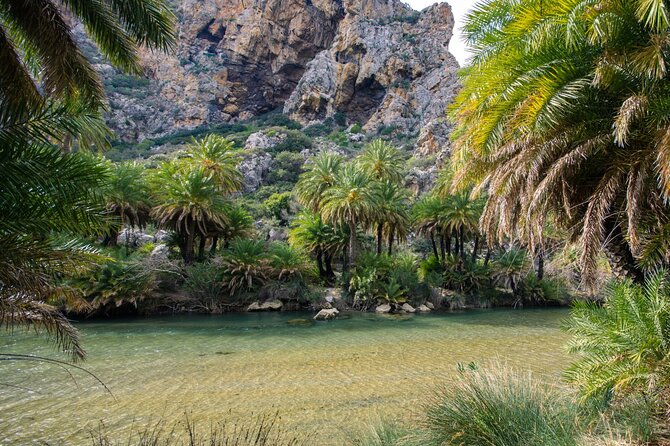 Heraklion: Preveli Boat Trip, Damnoni & Kourtaliotiko springs - The Preveli Palm Beach riverfront: Crete’s palm-water scene