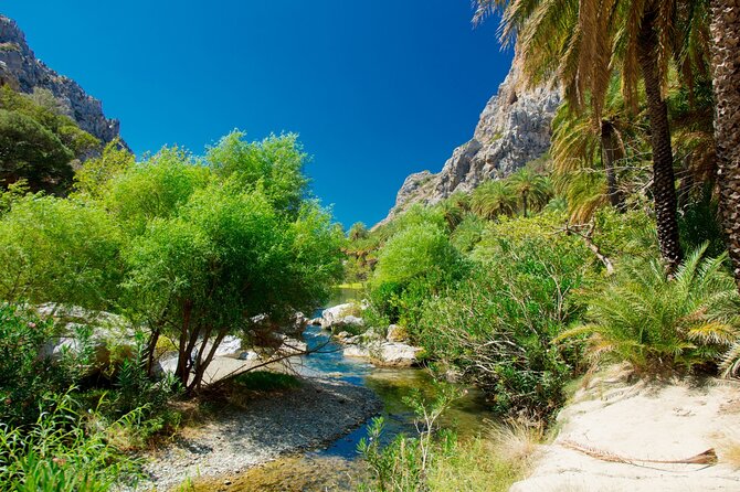 Heraklion: Preveli Boat Trip, Damnoni & Kourtaliotiko springs - Boat ride and group logistics: the day’s comfort level