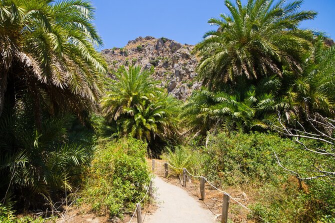 Heraklion: Preveli Boat Trip, Damnoni & Kourtaliotiko springs - My booking checklist for a smoother day