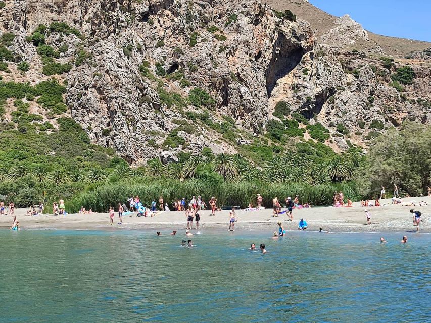 Heraklion: Preveli By Boat, Damnoni & Kourtaliotiko Springs - Preveli Palm Beach: river palms, sandy shore, and real time to swim