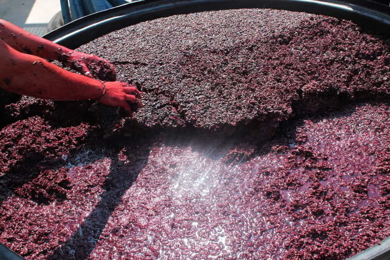 Heraklion: Private Food and Wine Tour with a local Sommelier - Price and value: what $203 per person really buys