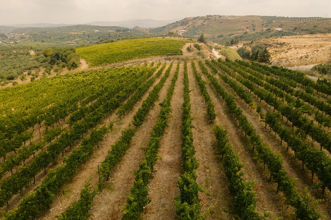 Heraklion Private Half-Day Gastronomy Diaries Experience in Lyrarakis Winery - Olive oil plus wine: why this combo is more than a side quest
