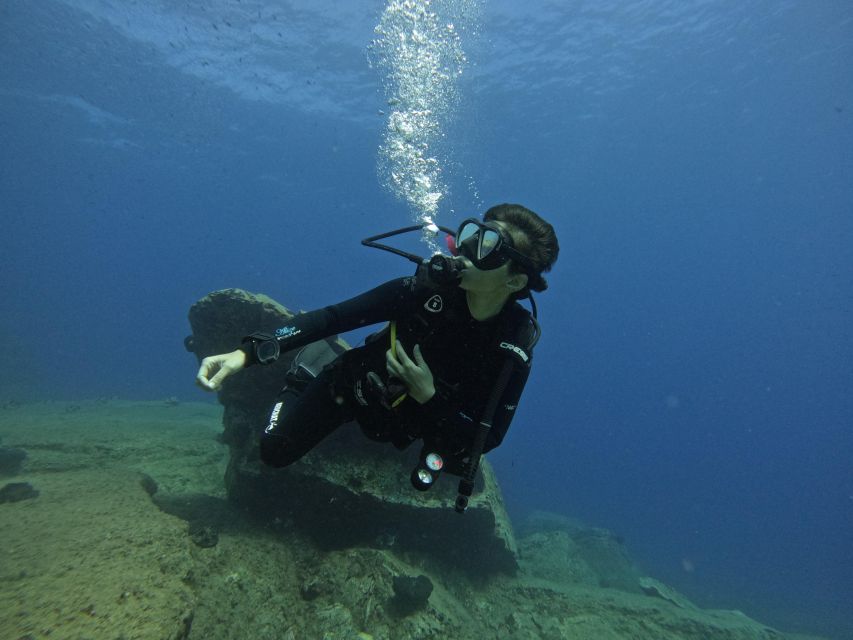 Heraklion: Try Scuba Diving For Beginners (1 dive) - Underwater Life You Can Expect (Without Needing Scuba Experience)