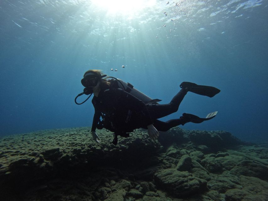 Heraklion: Try Scuba Diving For Beginners (1 dive) - Price and Value: Does $116 Make Sense for a First Session?