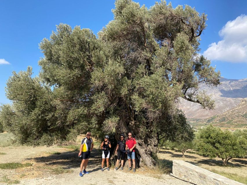 Heraklion: Wine Tasting E-Bike Tour - Should You Book This Heraklion Wine E-Bike Tour?