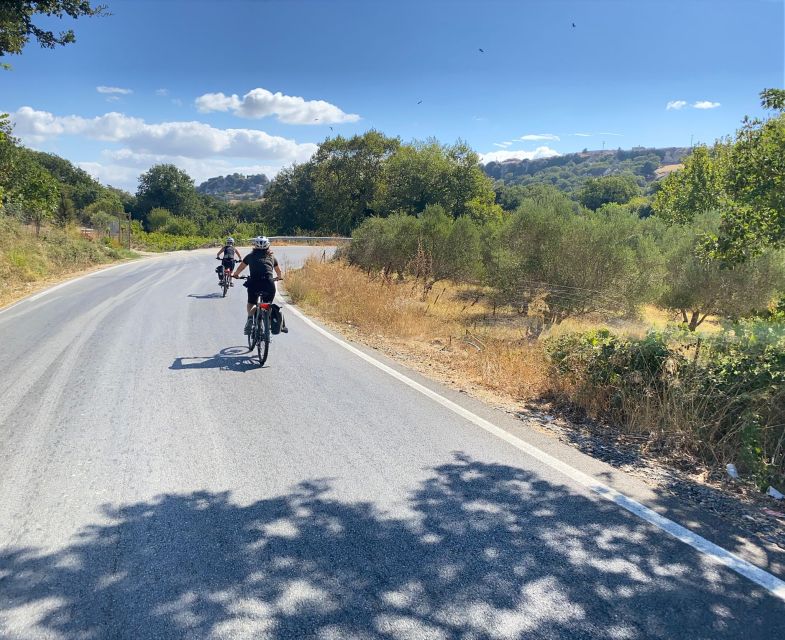 Heraklion: Wine Tasting E-Bike Tour - Dafnes: Crete’s Wine Town and the Big Tasting Moment