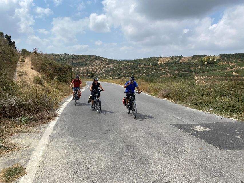 Heraklion: Wine Tasting E-Bike Tour - What the Guide Does That Makes the Tour Work