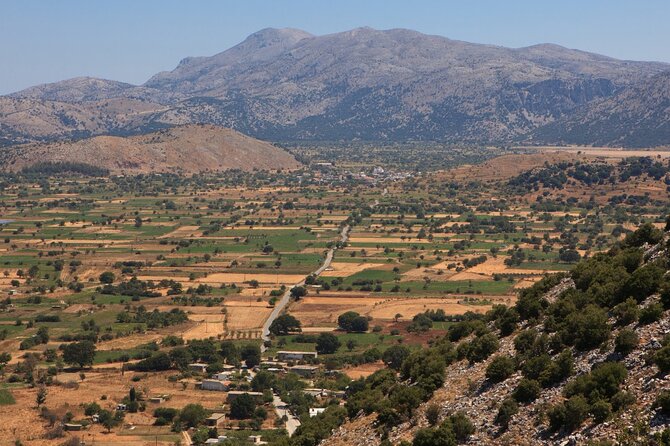 Knossos, Lasithi, Zeus Cave & Olive Mill Farm Combo Tour - Lyrakis Family Olive Mill Farm: where the tour turns practical