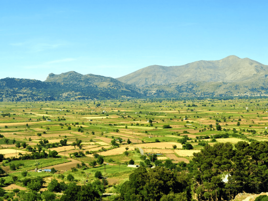 Knossos Palace &/or Zeus Cave + Olive Mill | Local & Private - Lunch, monastery stops, and pottery workshop moments