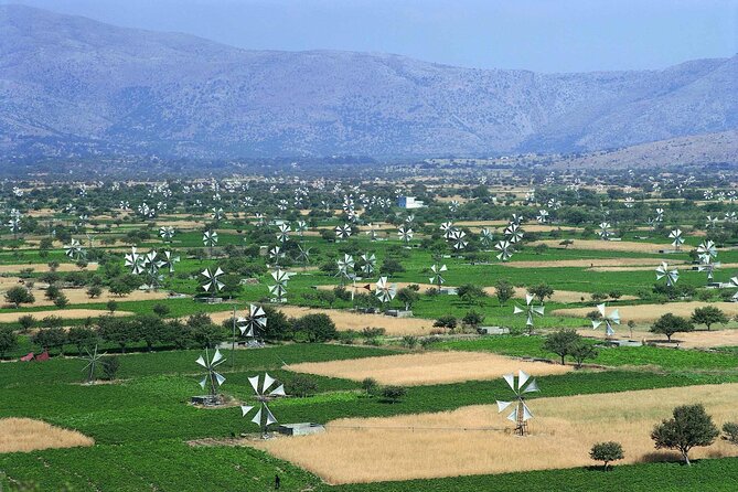 Lasithi - Zeus Cave -Olive Oil Factory - Traditional Villages - Key highlights you’ll feel during the day