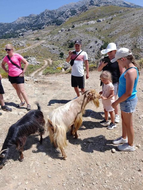 MALIA: Land rover Safari Lasithi Plateau and Zeus Cave - Zeus Cave: Mythology, Tickets, and Date Checks