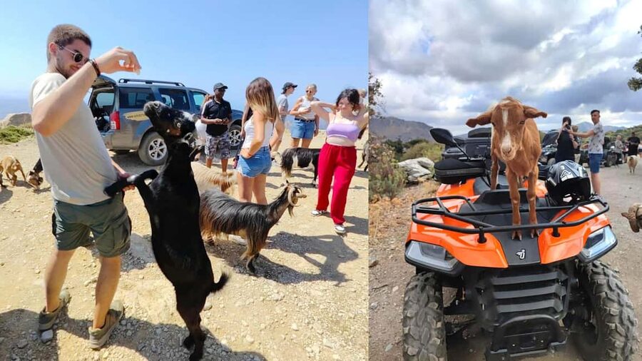 Malia: Off-Road Quad Safari Tour with Lunch and Transfers - Key highlights you’ll care about