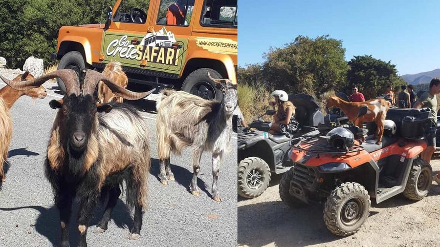Malia: Off-Road Quad Safari Tour with Lunch and Transfers - Vrachasi Village Stop: Photos, Free Coffee, and Mountain Views
