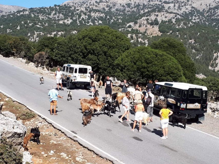 Matala Agiofarago Gorge Guided Jeep Safari Tour - Agiofarago Gorge: sheep, goats, and a short easy hike to swimming water