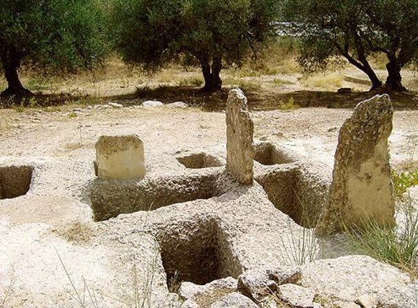 Minoan Crete: Knossos Palace, Winery Visit and Lunch at Archanes - Why This 7–8 Hour Minoan Day Feels Worth the Money