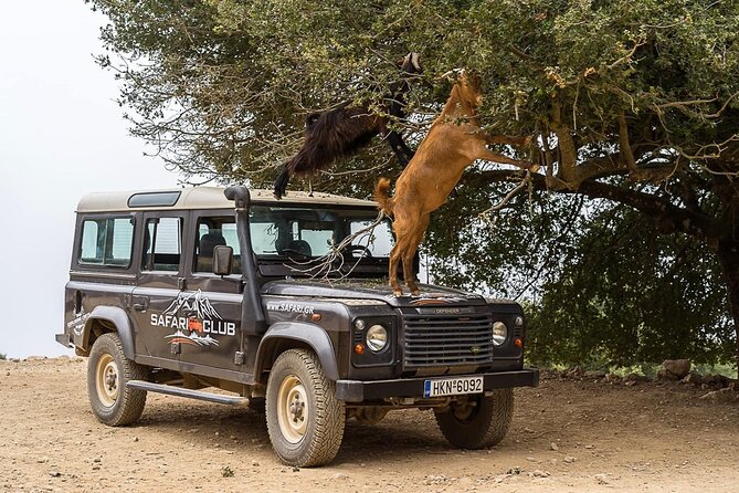 Mountains of Crete 4x4 Tour with Taverna Lunch - Value Check: Is $112.95 Worth It?