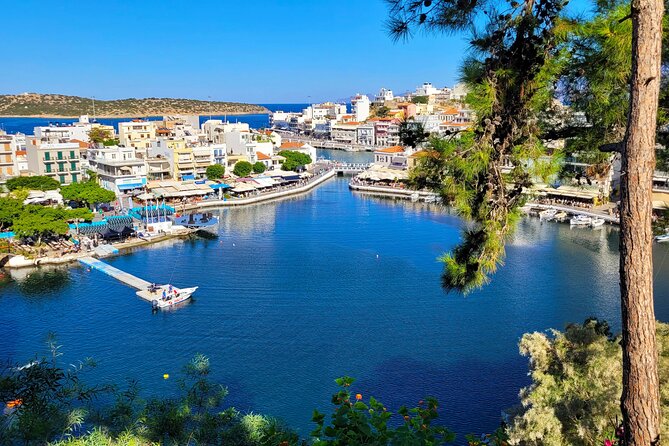 Olive Oil Cosmetic Factory- Spinalonga - Elounda - Agios Nikolaos - Bioaroma and Vassilakis Estate: olive oil process meets natural cosmetics