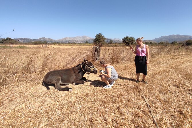 Private Jeep Tour - Zeus Cave - Cretan villages - Ebassas gorge views and a herb-collecting moment