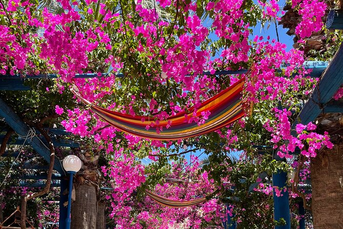 PRIVATE-South Crete-Matala Beach-Olive oil- Wine-Old Villages - Key highlights you’ll care about