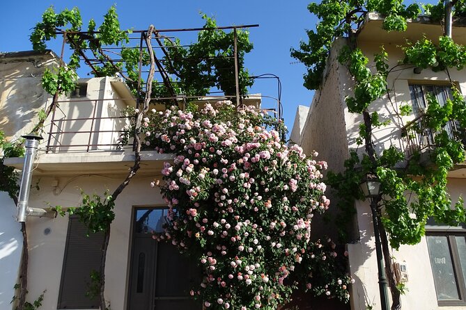 Private Tour-Authentic Villages of Lasithi Olive Oil and Wine - Agios Georgios plus Lasithi Mesa: windmills and the kafenio rhythm