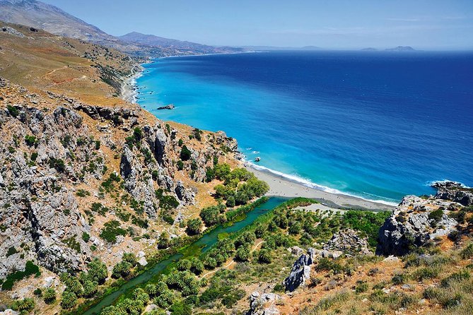 Private Tour Rethymno: Spili, Preveli, Kourtaliotiko, Old Town - Preveli Palm Forest and Damnoni Beach: photos, palms, and swimming odds