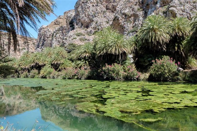 Private Tour Rethymno: Spili, Preveli, Kourtaliotiko, Old Town - Who this tour suits best (and who should adjust expectations)