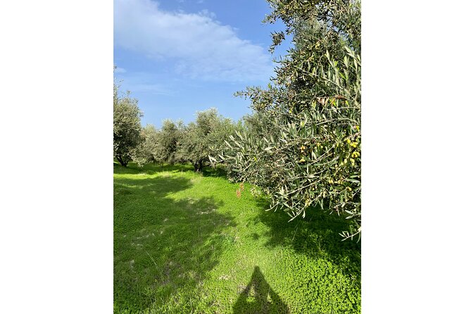 Private Traditional Olive Grove and Dragon Fruit Farm Tour - Price and Timing: Is It Good Value for Heraklion?