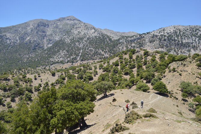 Private Trekking Rouvas Gorge - Rouvas Gorge (Agios Nikolaos): river-bed walking, waterfalls, and ponds