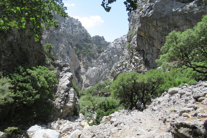 Private Trekking Rouvas Gorge - Rouvas Forest: the holly forest moment after 2 hours