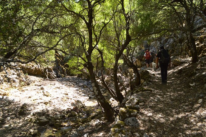 Private Trekking Rouvas Gorge - Pickup, vans, and why this tour keeps your day stress-free