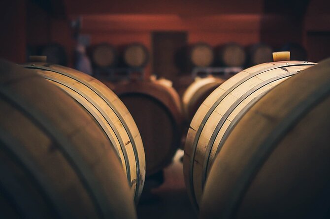 Private Wine Tour at Peza Valley - 2 Wineries and Lunch at Peza - Stop 1: Stilianou Winery and the boutique side of Cretan wine