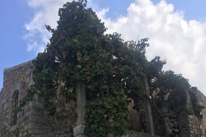 PRIVATE-Winery+Olive Oil Factory-Old Villages-Old Wind Mills - Lunch as an option: when it helps and when it slows you down