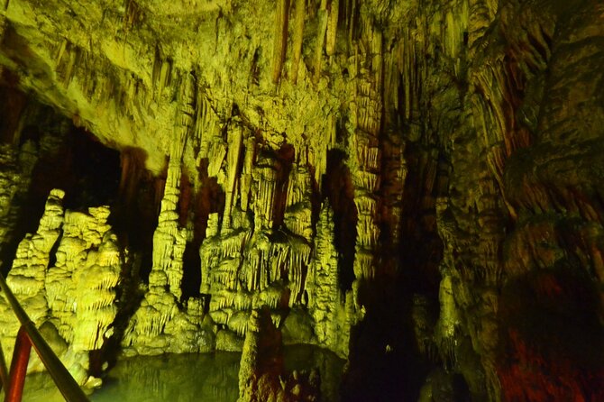 Road-trip to Lasithi, Zeus Cave, Vidiani, Krasi & Olive Mill Farm - Lyrakis Family olive mill farm: what the tour and tastings are like
