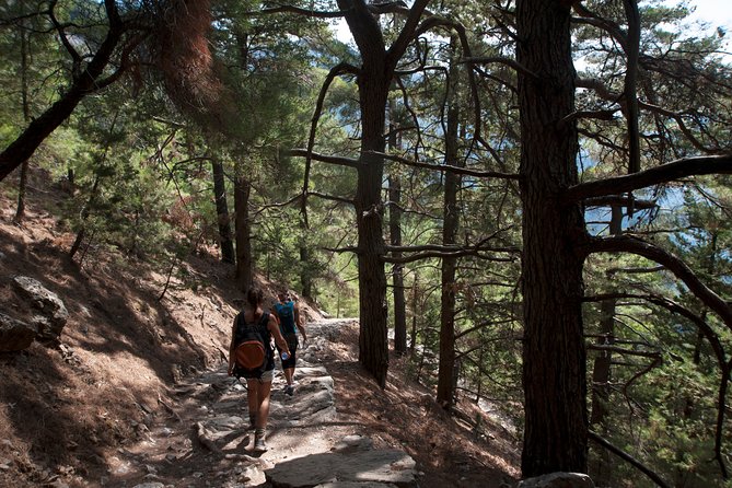 SAMARIA from Malia-Heraklion - Entering Samaria Gorge National Park: what to expect on the trail